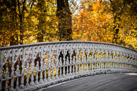 Autumn colorsの写真素材
