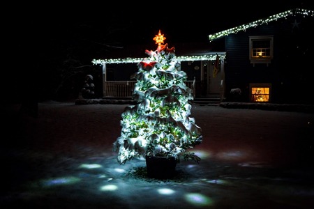 Lighted christmas tree at night decorated with snowの写真素材