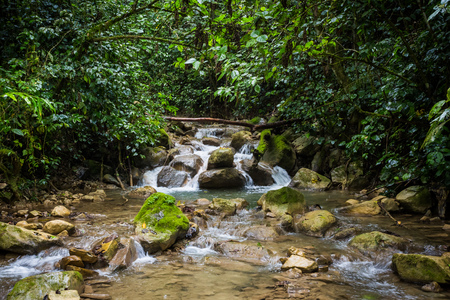 Tropical mountain river in the jungle at day