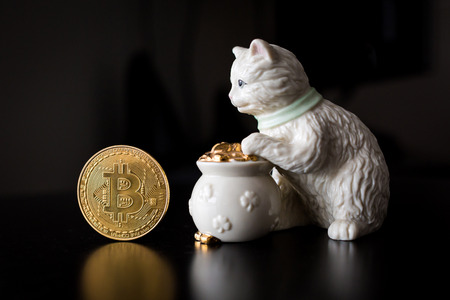 Bitcoin single coin with a cat and pot of goldの写真素材