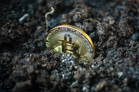 Symbolic golden coin of bitcoin crypto currency growing in soilの写真素材