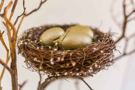 House nest with eggs creative decoration installationの写真素材