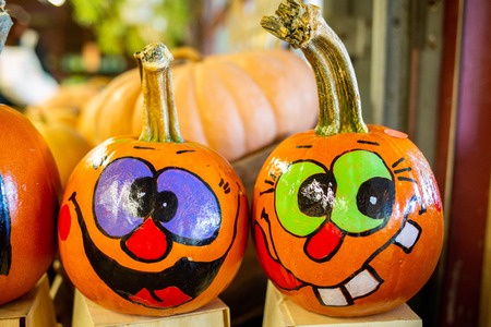 Pumpkins at country farmers market for holidaysの写真素材