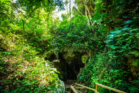 Cueva Ventana cave in Puerto Rico local attractionの写真素材