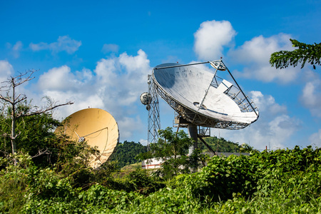 Satellite dish in the forest with sighns of rust at day
