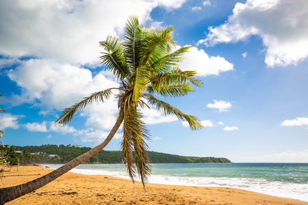 Exotic carribean shore of Puerto Rico Flamenco beach shoreの写真素材
