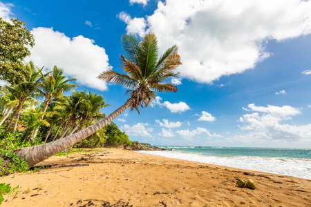 Exotic carribean shore of Puerto Rico Flamenco beach shoreの写真素材