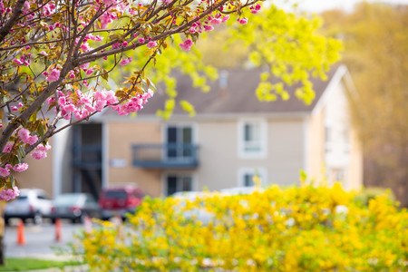 Beautiful blurred village homes in spring time at dayの写真素材
