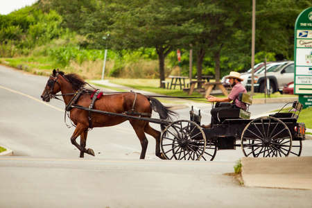 Lancaster, PA / USA - 7/4/2013: Amish man riding a retro carriage on the street at dayのeditorial素材
