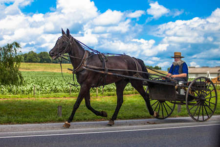 Lancaster, PA / USA - 7/4/2013: Amish man riding a retro carriage on the street at dayのeditorial素材