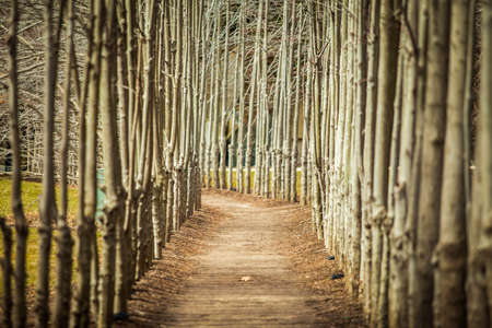 Hamilton, NJ / USA: 3/28/2015 - Grounds for sculptures art centerのeditorial素材