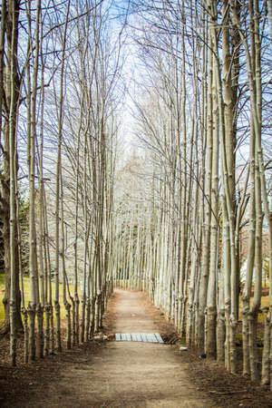 Hamilton, NJ / USA: 3/28/2015 - Grounds for sculptures art centerのeditorial素材