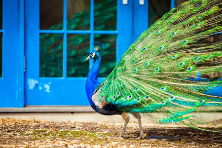 Hamilton, NJ / USA: 3/28/2015 - Grounds for sculptures art centerのeditorial素材