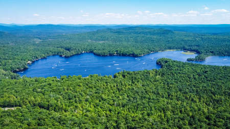 Scenic aerial view of a blue lake with pine trees coastの写真素材