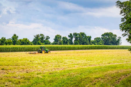 Sunny summer day farmer tractor in the field harvesting crops panoramic viewの写真素材