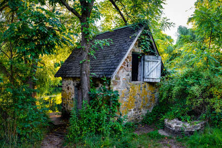 Peaceful abandoned old cottage at summer sunset in the woods nobodyの写真素材