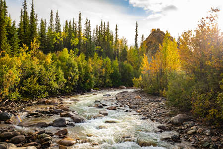 Scenic view of Alaska river in colorful forest trees in fall at dayの写真素材