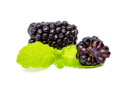 Closeup shot of fresh blackberries. Isolated on white backgroundの写真素材