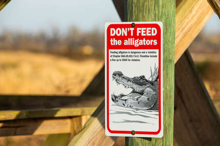 Do not feed alligators warning sign outdoorsの写真素材