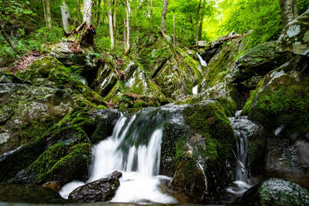 Scenic Dark Hollow Falls overview at Shenandoah National park in summer