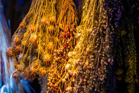 Variety of natural herbs drying on rack for decoration or tea with lavender and othersの写真素材