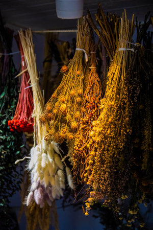 Variety of natural herbs drying on rack for decoration or tea with lavender and othersの写真素材