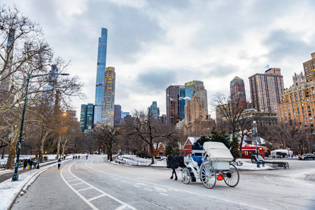 Vintage winter view on Manhattan cityscape buildings from Central Park with horse carriage attraction in New Yorkの写真素材