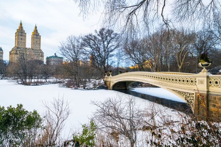 Panoramic view of New York Central Park Bow bridge ice lake and Upper West side buildings in winterの写真素材