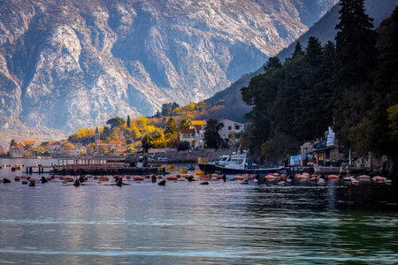 Scenic view of historic port town from the sea in Montenegro at sunriseの写真素材