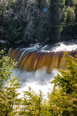 Photo of the Upper Falls at Tahquamenon Falls State Park in Michigan on a sunny day with cascading water and lush green forest.の写真素材