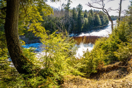 Photo of the Upper Falls at Tahquamenon Falls State Park in Michigan on a sunny day with cascading water and lush green forest.の写真素材