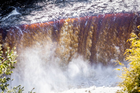 Photo of the Upper Falls at Tahquamenon Falls State Park in Michigan on a sunny day with cascading water and lush green forest.の写真素材