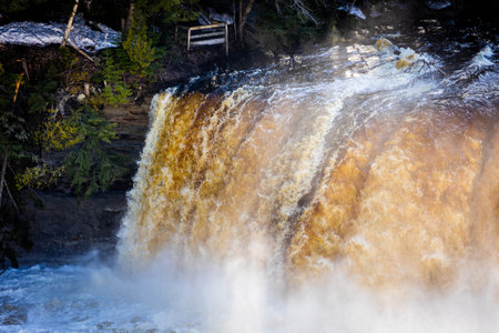 Photo of the Upper Falls at Tahquamenon Falls State Park in Michigan on a sunny day with cascading water and lush green forest.の写真素材
