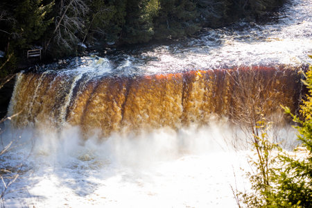 Photo of the Upper Falls at Tahquamenon Falls State Park in Michigan on a sunny day with cascading water and lush green forest.の写真素材