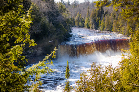 Photo of the Upper Falls at Tahquamenon Falls State Park in Michigan on a sunny day with cascading water and lush green forest.の写真素材