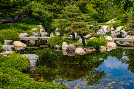 Tranquil View of Japanese Garden at Como Park Conservatoryの写真素材