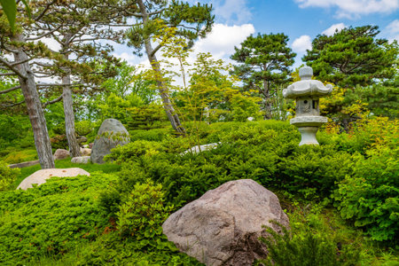 Tranquil View of Japanese Garden at Como Park Conservatoryの写真素材