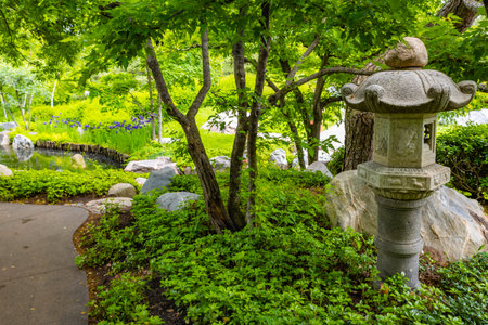 Tranquil View of Japanese Garden at Como Park Conservatoryの写真素材
