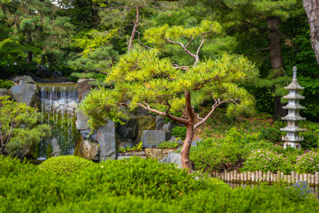 Beautiful Japanese garden view with waterfall and pond at Minnesota Arboretumの写真素材