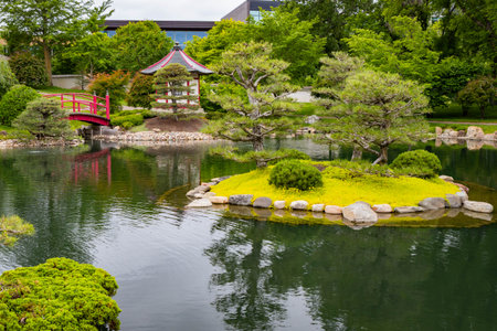 A serene view of a beautiful koi pond at Normandale Japanese Gardenの写真素材