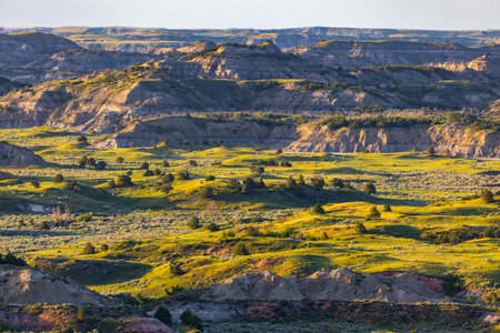 Scenic vibrant view of Roosevelt National Park colorful Canyons under sunset sunの写真素材
