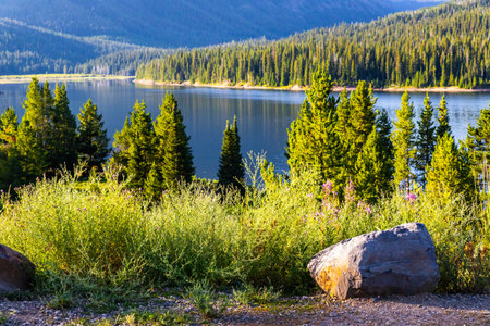 A scenic landscape of the Custer Gallatin National Forest is illuminated by the morning light of a...