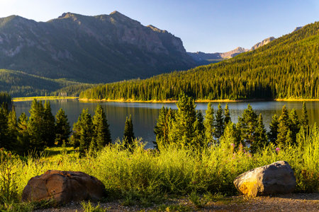A scenic landscape of the Custer Gallatin National Forest is illuminated by the morning light of a...