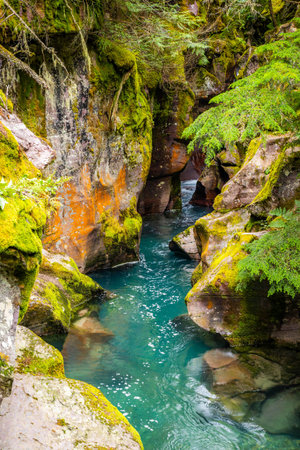 A scenic view captures the tranquil beauty of Avalanche Creek, located on the Avalanche Lake trailhead within Glacier National Parkの写真素材