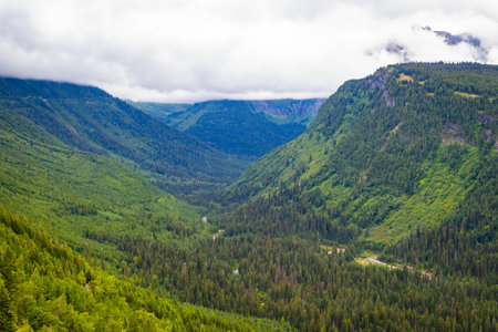 A scenic view captures a lush, green valley with majestic mountains in the background at Glacier National Park