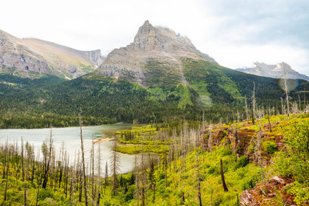 The Saint Mary Falls Trail is captured as it winds along the scenic Saint Mary Lake in Glacier...