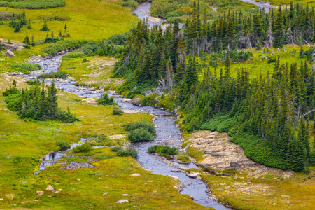 A panoramic view captures the stunning landscape of Glacier National Park from the popular Siyeh...