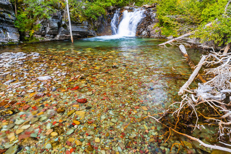 Rose creek waterfall at summer morning through Otokomi lake trail in Glacier National Park