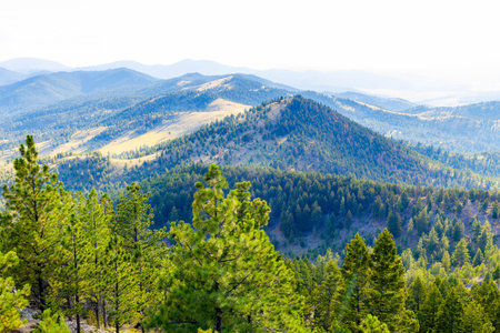 A scenic landscape of Montana mountains is captured at summer sunset, highlighting the beautiful natural environment under the warm, evening lightの写真素材