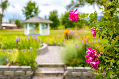 A vibrant and cultivated landscape is captured at the Missoula Iris Society Snow Gardenの写真素材